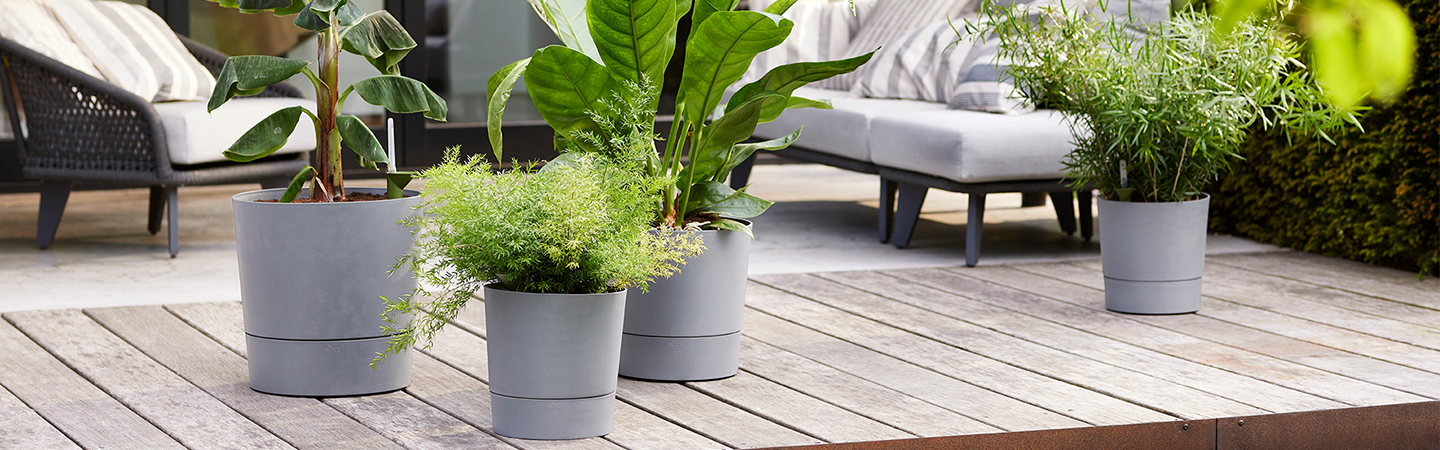 greensense aqua care round 30cm marrón arcilla